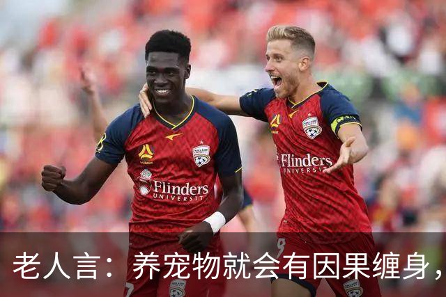 老人言：养宠物就会有因果缠身，这3件事养猫人需要知的冥界规则